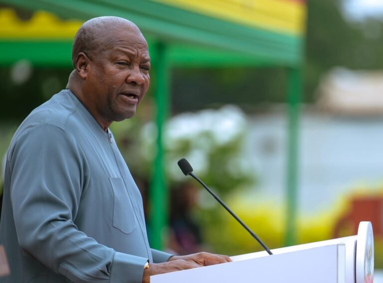We will not relent in fight against galamsey – President Mahama