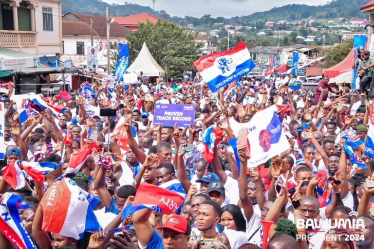 NPP holds regional executive elections as party prepares for 2028