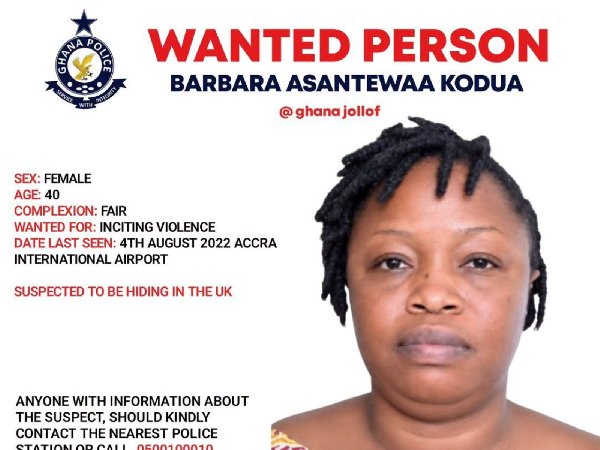 Police declare ‘Ghana Jollof’ Barbara Kodua wanted over alleged incitement