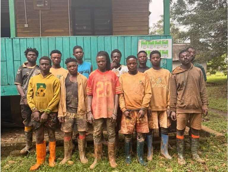 12 suspected illegal miners arrested in Atewa Forest crackdown