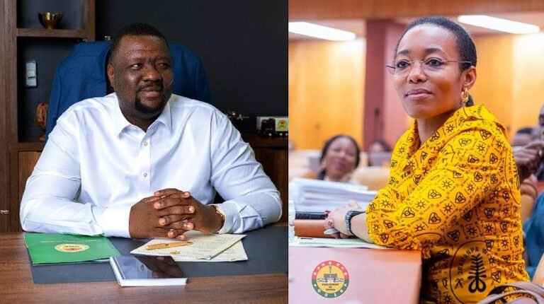 I’m not contesting Zanetor Rawlings in 2028 – DVLA CEO