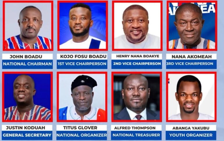 Full list of newly elected NPP National Executives